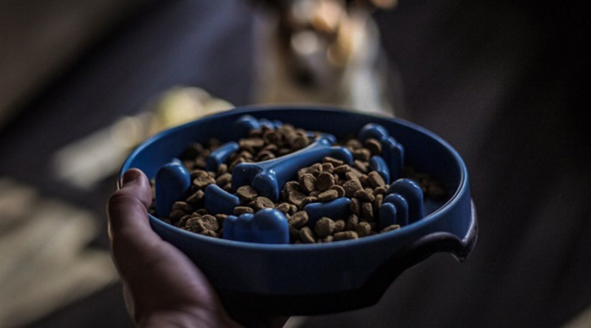 kong food puzzle