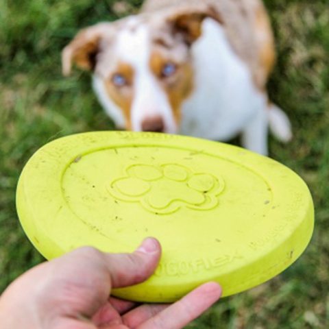 West Paw Disc – Review