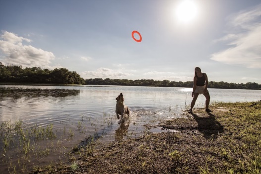 Go Dog Flying Disc – Review – The Perfect Pet Products