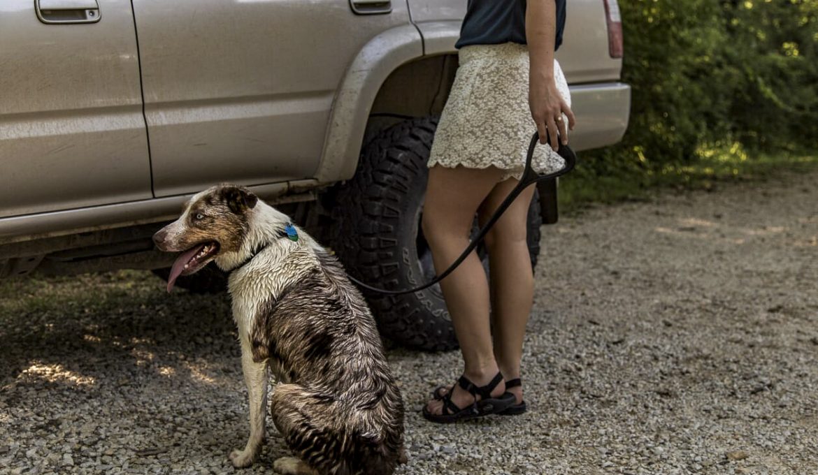 Walker / Heeler Leash – Review – Jersey Dog Co